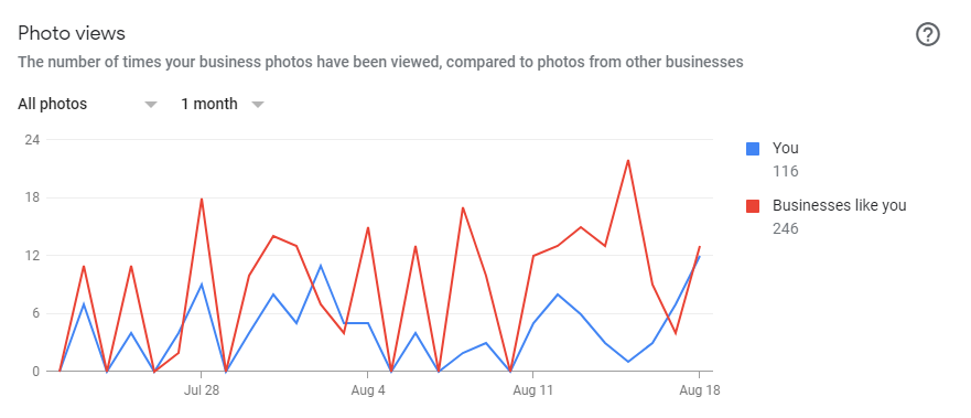 Photo Views_GMB Insights