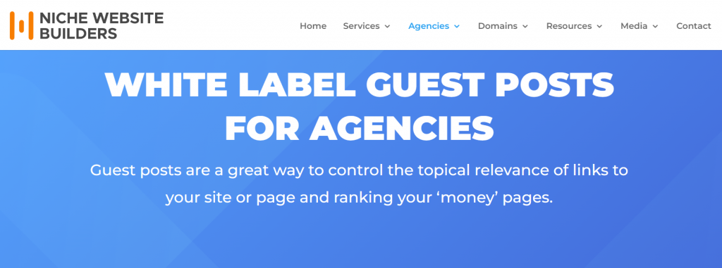 Niche Website Builders guest post page screenshot