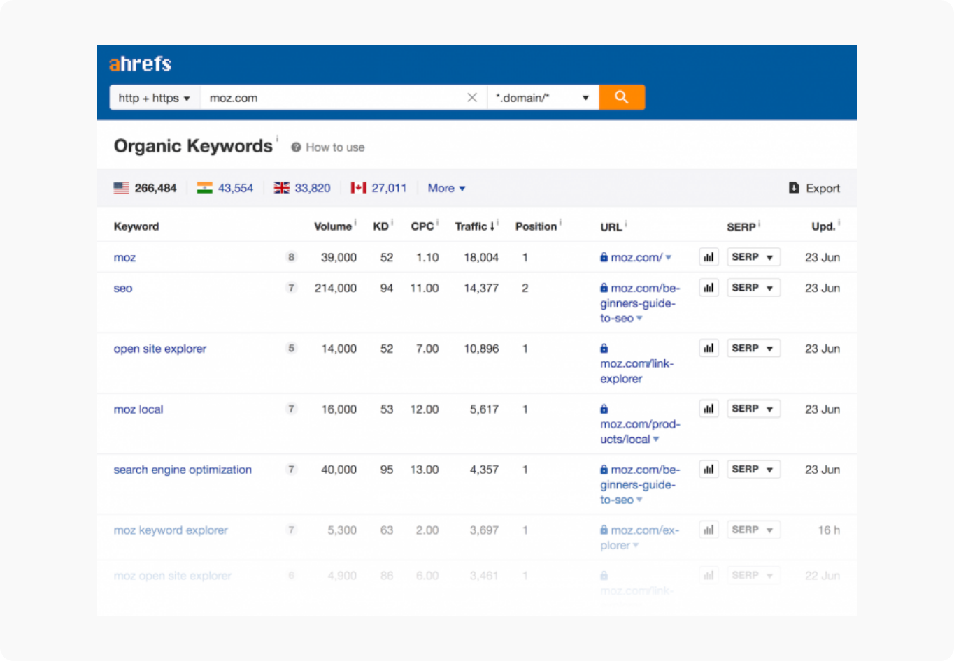 Organic Keywords Report